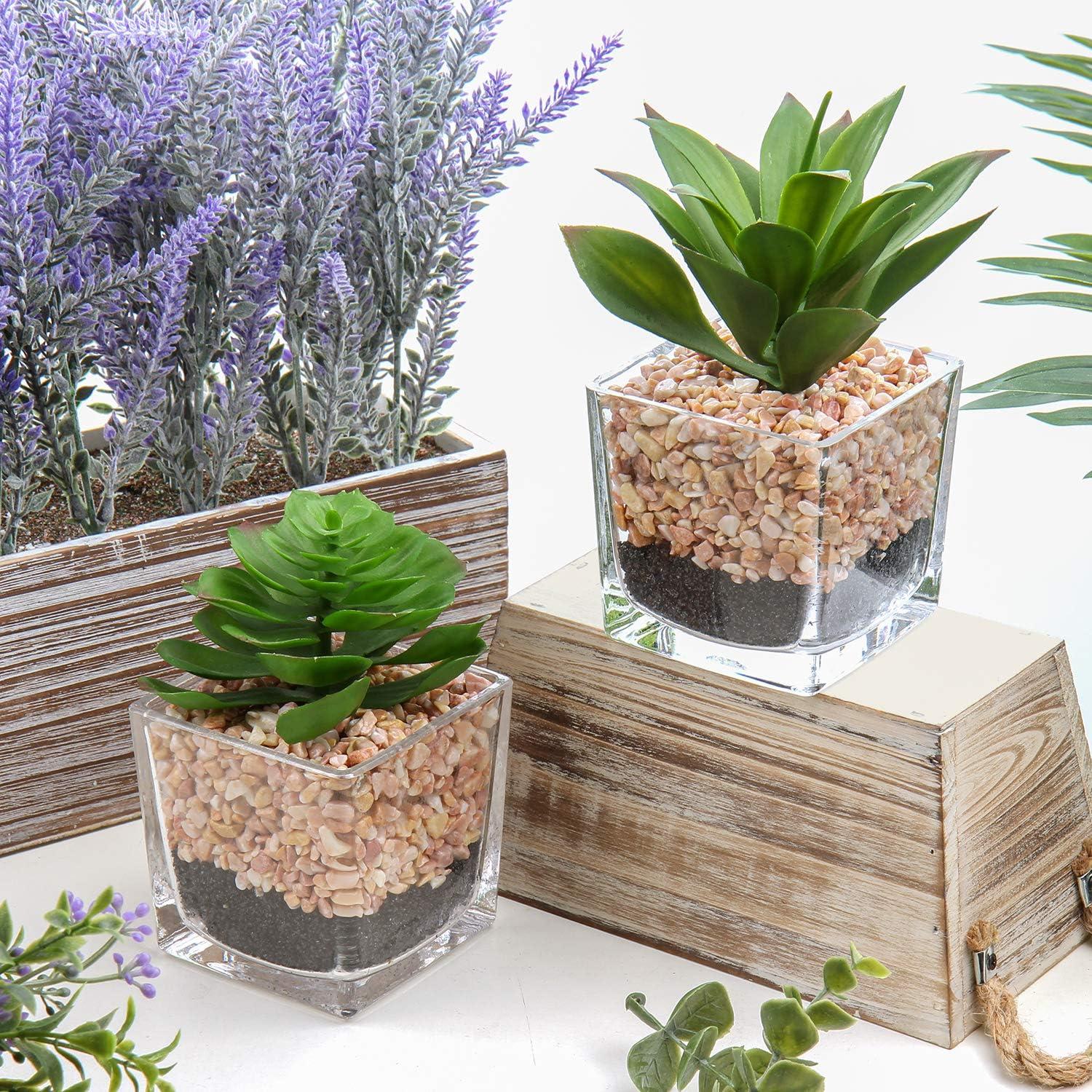 2er Set Künstliche Sukkulenten Kunstpflanzen im Glastopf deco