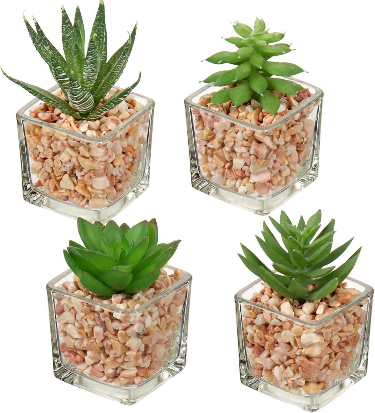 4PCS Künstliche Sukkulenten Kunstpflanze im Glastopf Wohnzimmer Deko