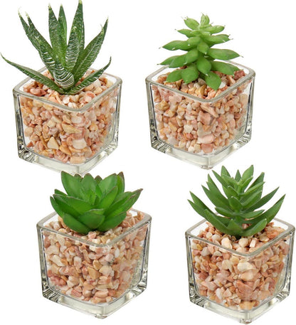 4PCS Künstliche Sukkulenten Kunstpflanze im Glastopf Wohnzimmer Deko