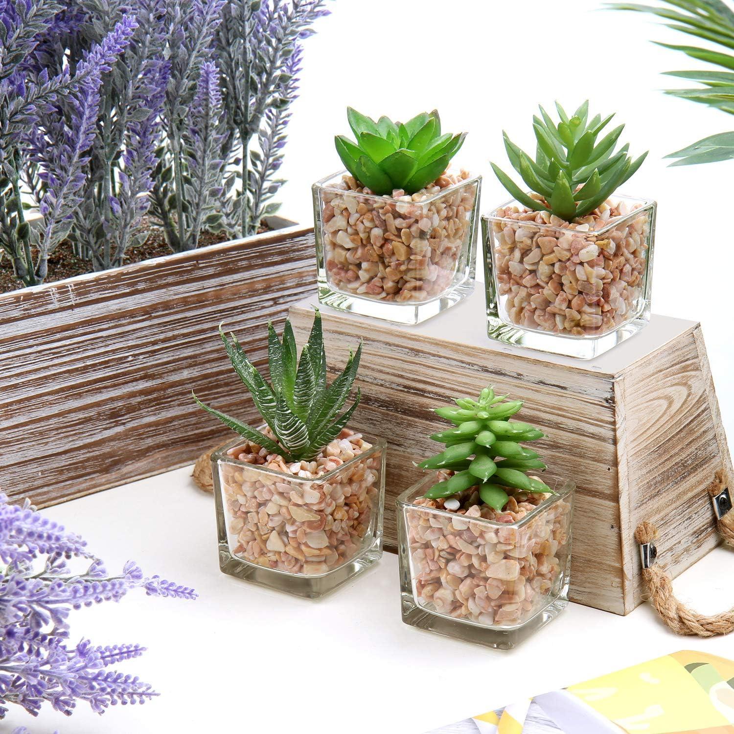 4PCS Künstliche Sukkulenten Kunstpflanze im Glastopf Wohnzimmer Deko