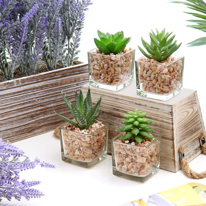 4PCS Künstliche Sukkulenten Kunstpflanze im Glastopf Wohnzimmer Deko