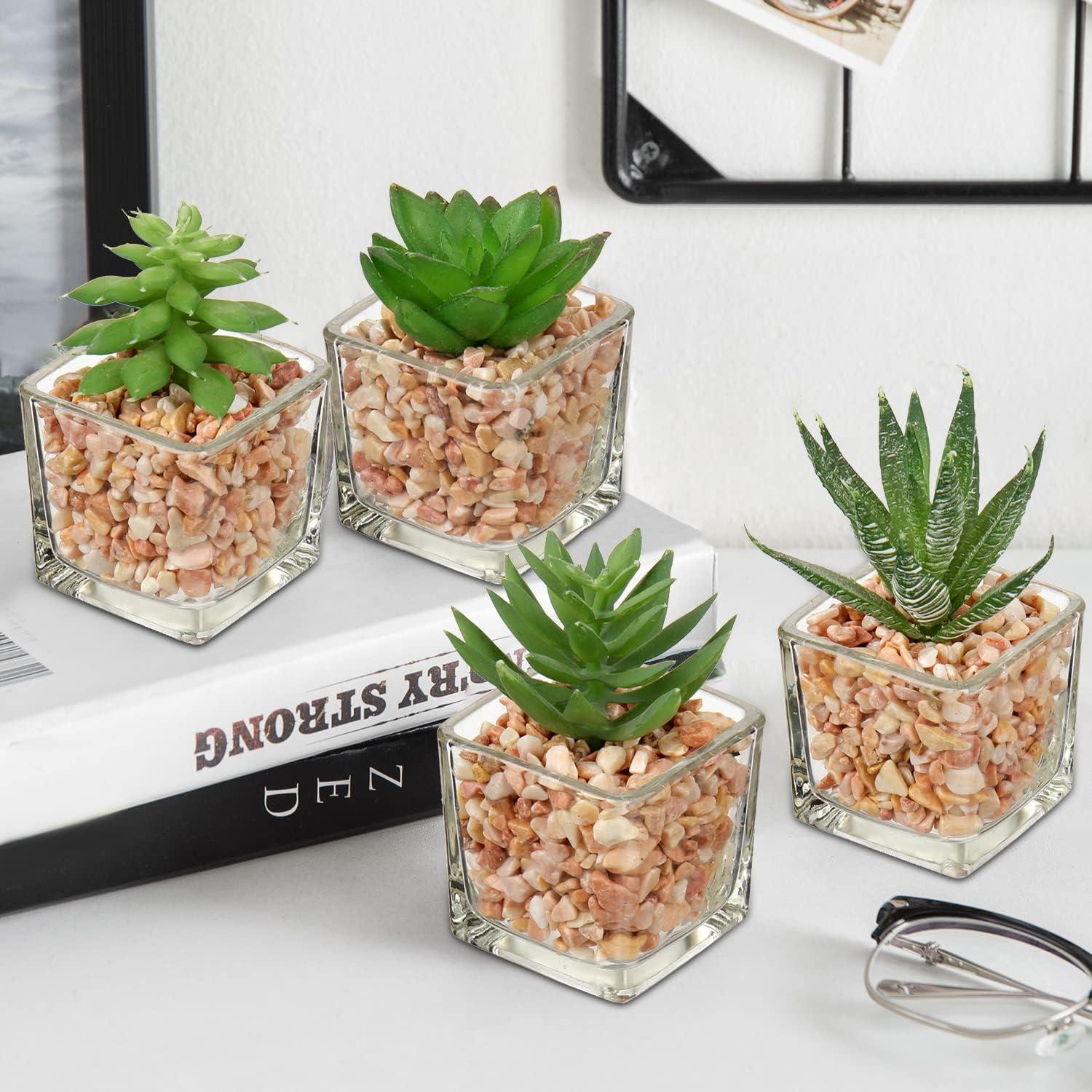 4er Set Künstliche Sukkulenten Kunstpflanze im Glastopf - Dekorative Zimmerpflanzen