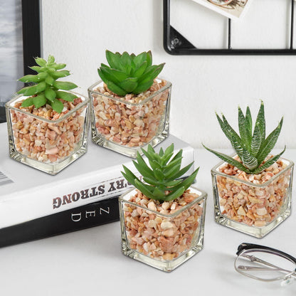 4er Set Künstliche Sukkulenten Kunstpflanze im Glastopf - Dekorative Zimmerpflanzen