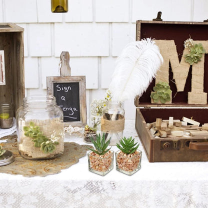 4er-Set Künstliche Sukkulenten Deko Pflanze Glastopf Wohnzimmer