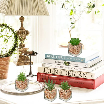 4er Set Künstliche Sukkulenten im Glastopf Deko Kunstpflanzen