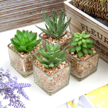 4er-Set Künstliche Sukkulenten Deko Pflanze Glastopf Wohnzimmer