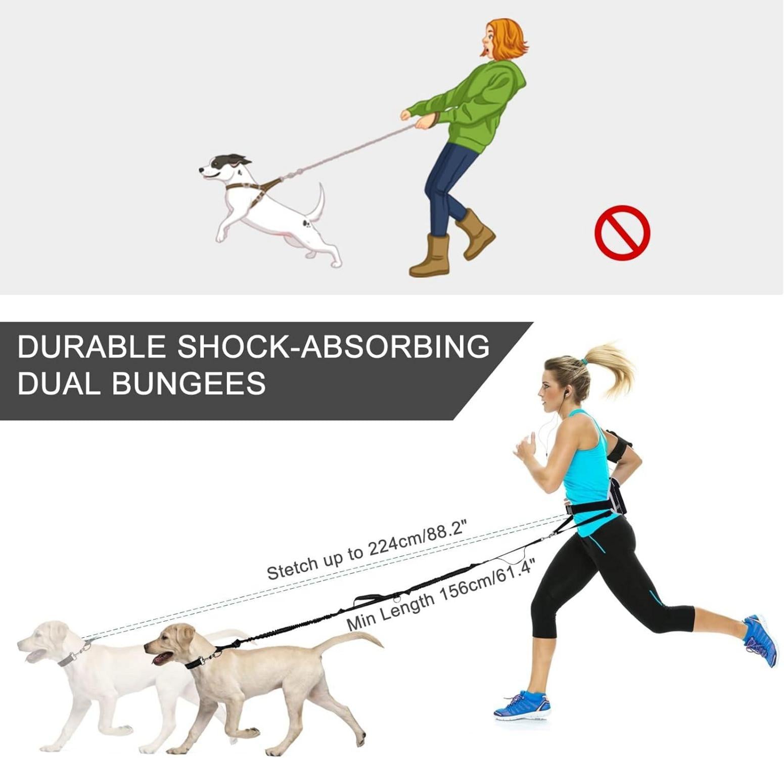 Joggingleine mit Bauchgurt und reflektierenden Elementen, elastische