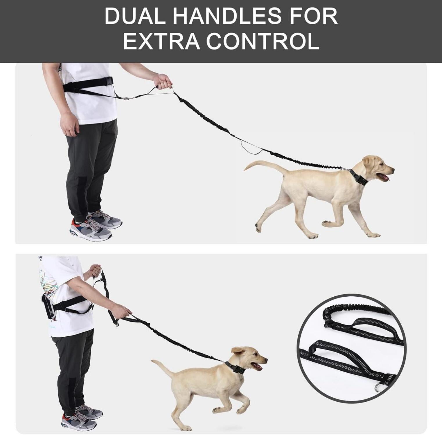 Pecute Joggingleine mit Bauchgurt für große Hunde bis zu 80kg