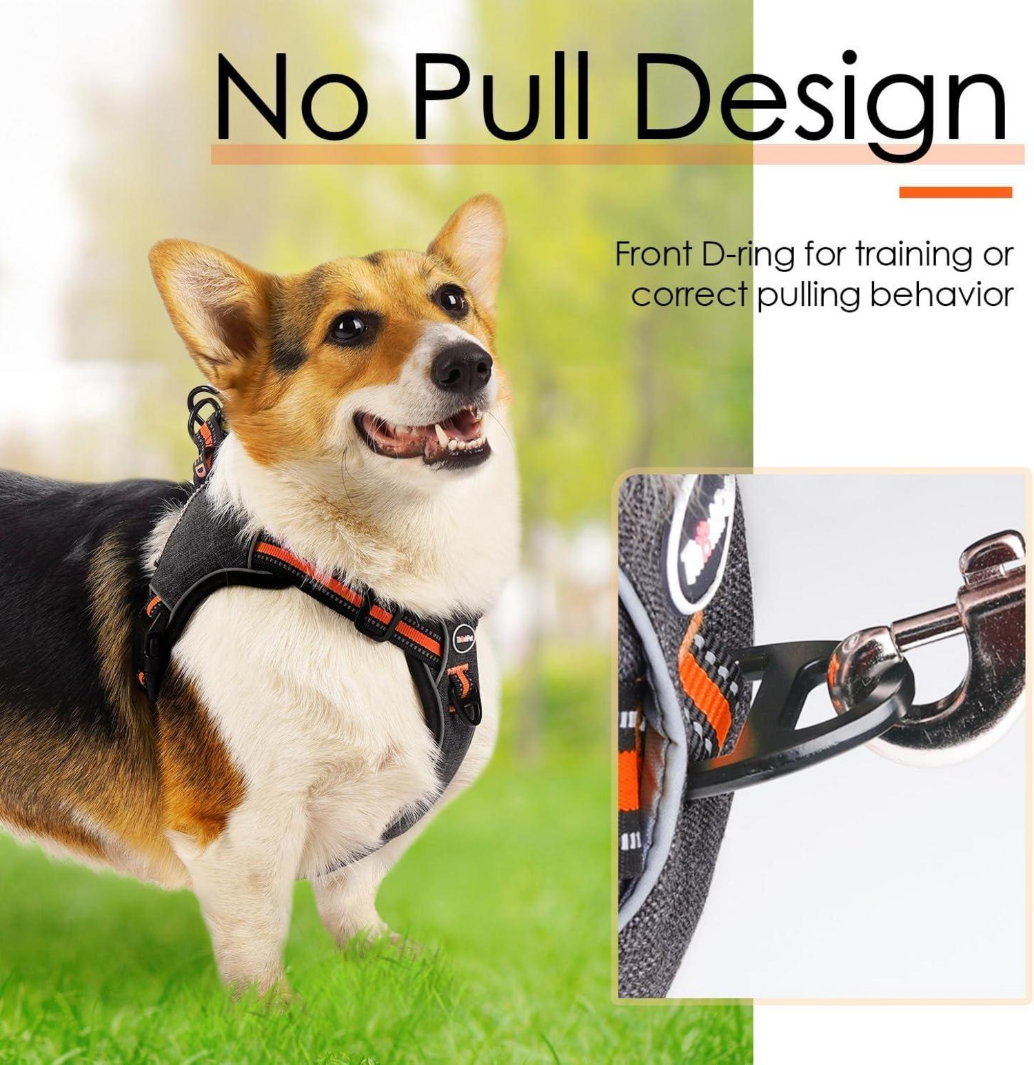 ThinkPet No-Pull Reflektierendes Step-in Hundegeschirr Orange