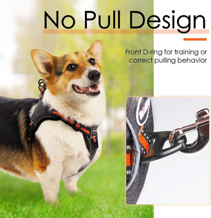 ThinkPet No-Pull Reflektierendes Step-in Hundegeschirr Orange