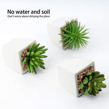 Künstliche Sukkulenten Set Zimmerpflanzen Deko 10-14cm im