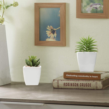 Künstliche Sukkulenten Set Zimmerpflanzen Deko 10-14cm im