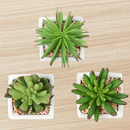 Künstliche Sukkulenten Deko Pflanze 10-14cm 3er Set im Keramiktopf