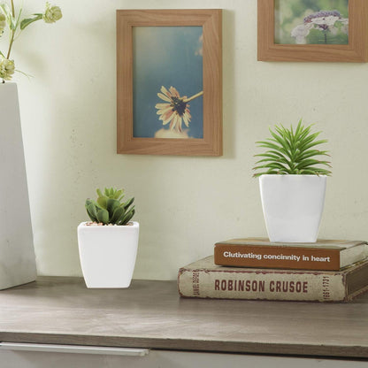 Künstliche Sukkulenten Deko Pflanze 10-14cm 3er Set im Keramiktopf