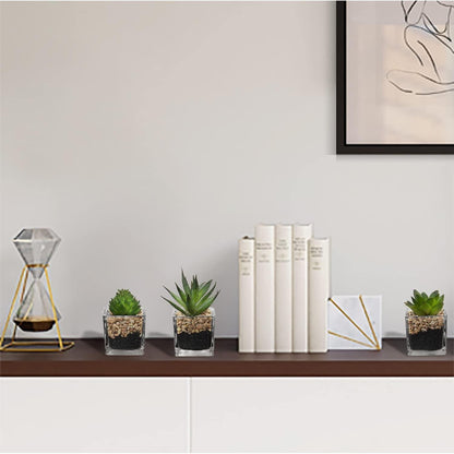 Kunstpflanze Sukkulente Decorative Wohnzimmer Badezimmer Set