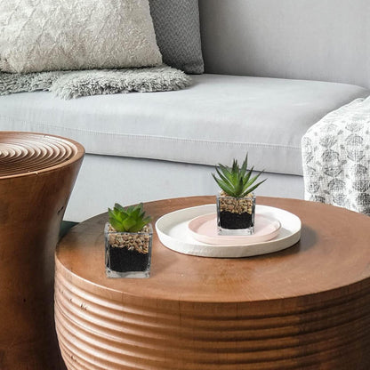 Kunstpflanze Sukkulente Decorative Wohnzimmer Badezimmer Set