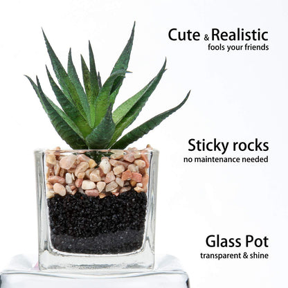 Kunstpflanze Sukkulente Dekoration 10,5cm Glastopf 3er Set
