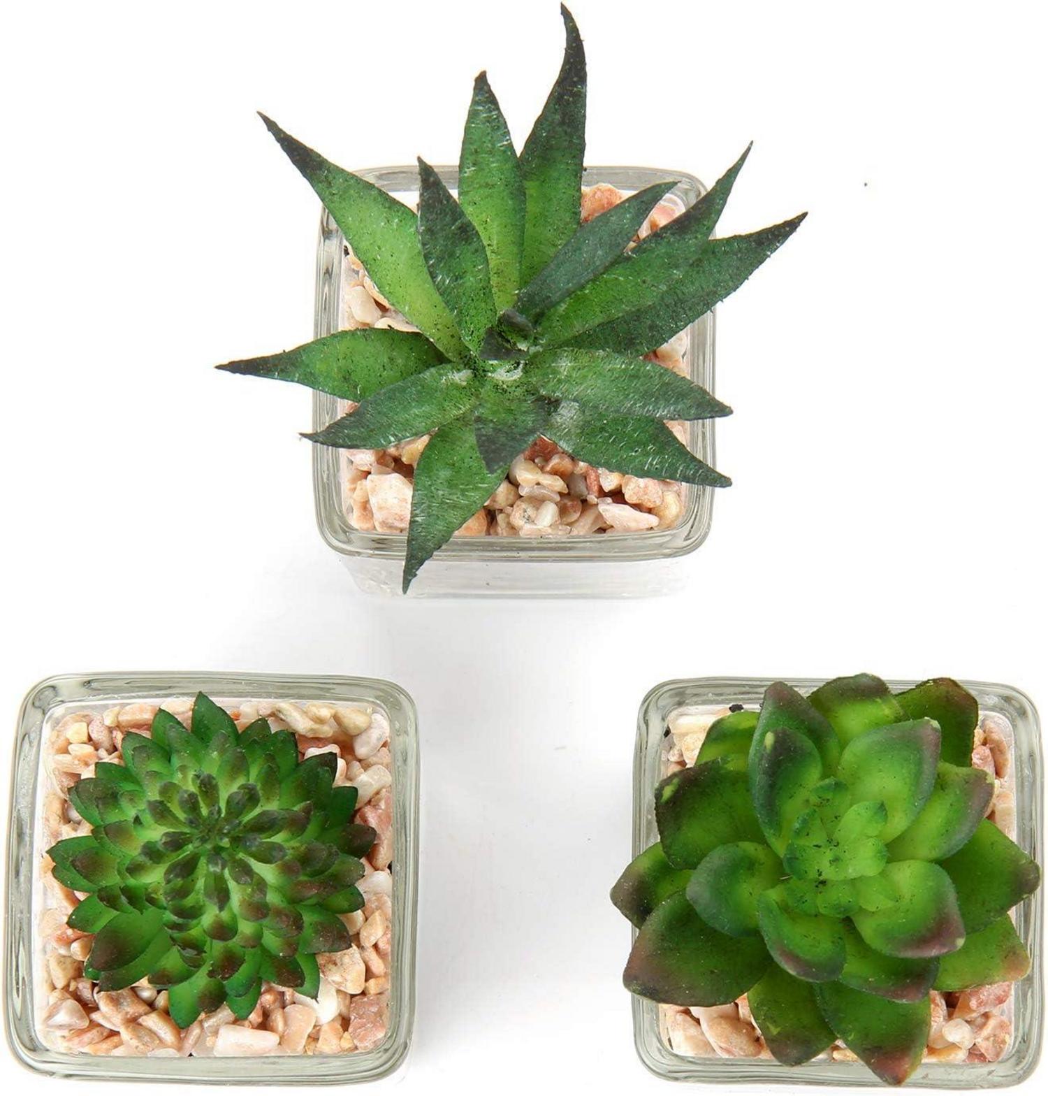 Kunstpflanze Sukkulenten Set 3er Wohnzimmer Deko 10.5cm Sukkulenten im Glastopf