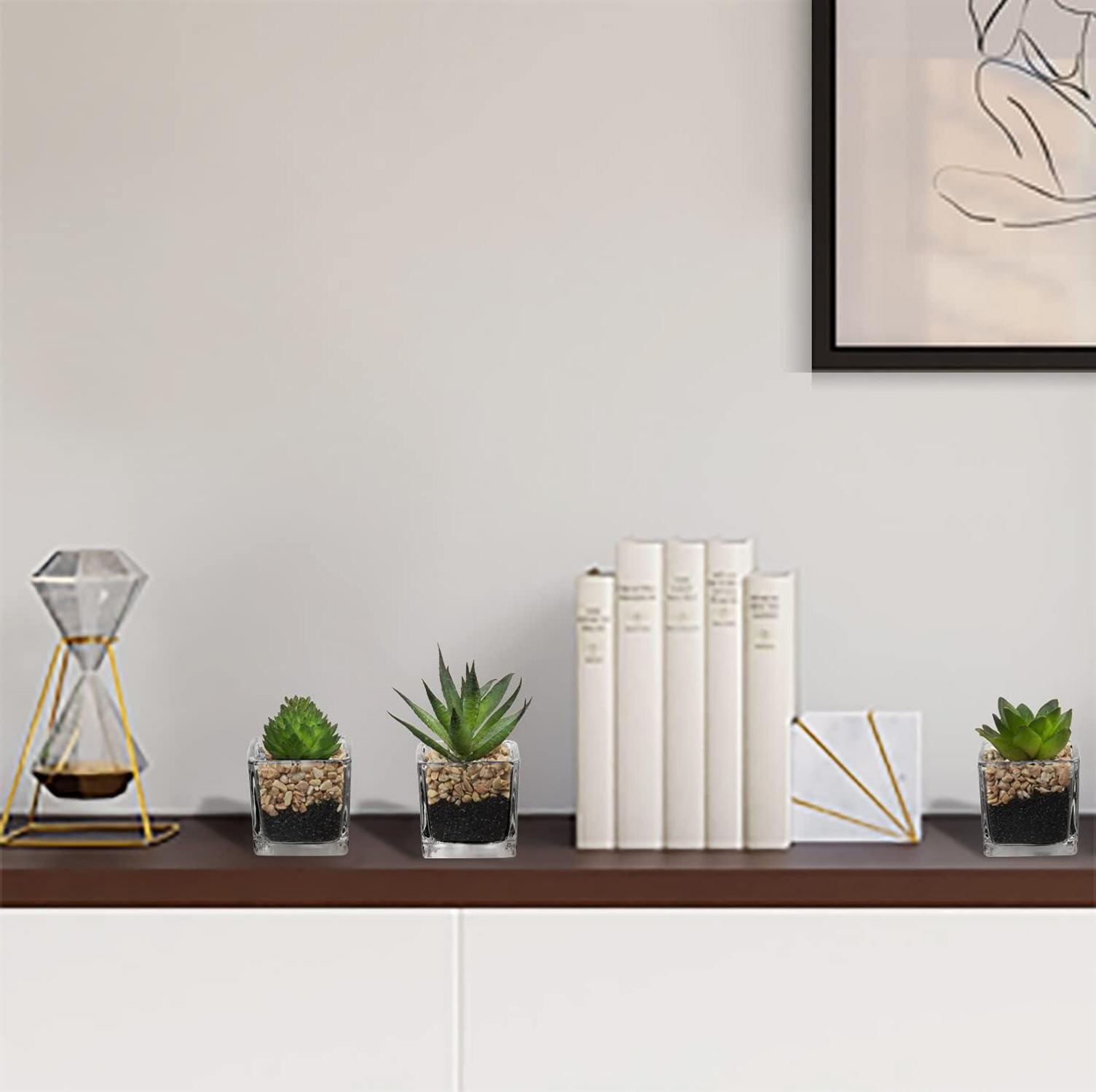 Künstliche Sukkulenten Set Dekopflanzen Zimmerpflanzen 3er 10.5cm