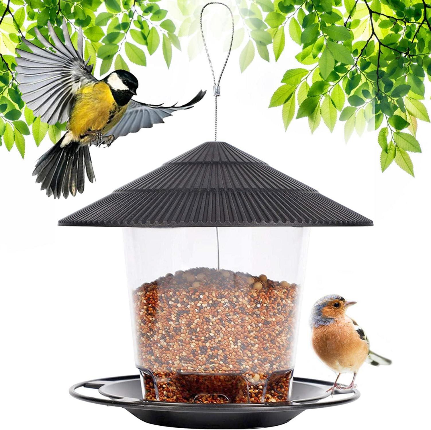 Vogelfütterer Wildvögel Futterstation Bird Feeder Aufhängen Dunnocks