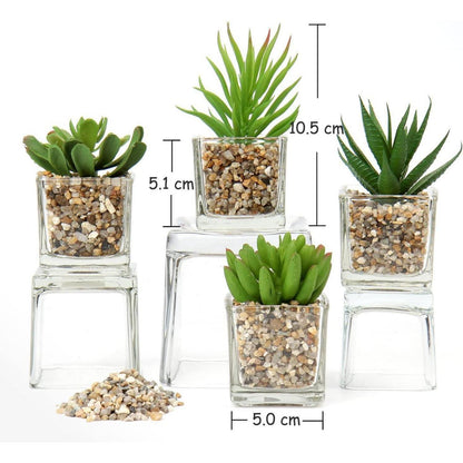Künstliche Sukkulenten Pflanzen Set im Glastopf, 10.5cm