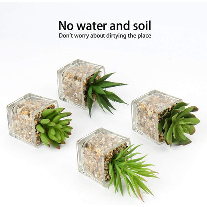 Künstliche Sukkulenten Pflanzen Set im Glastopf, 10.5cm