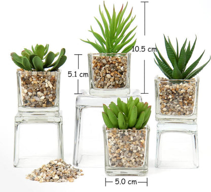 Künstliche Sukkulenten Pflanzen Set im Glastopf, 10.5cm