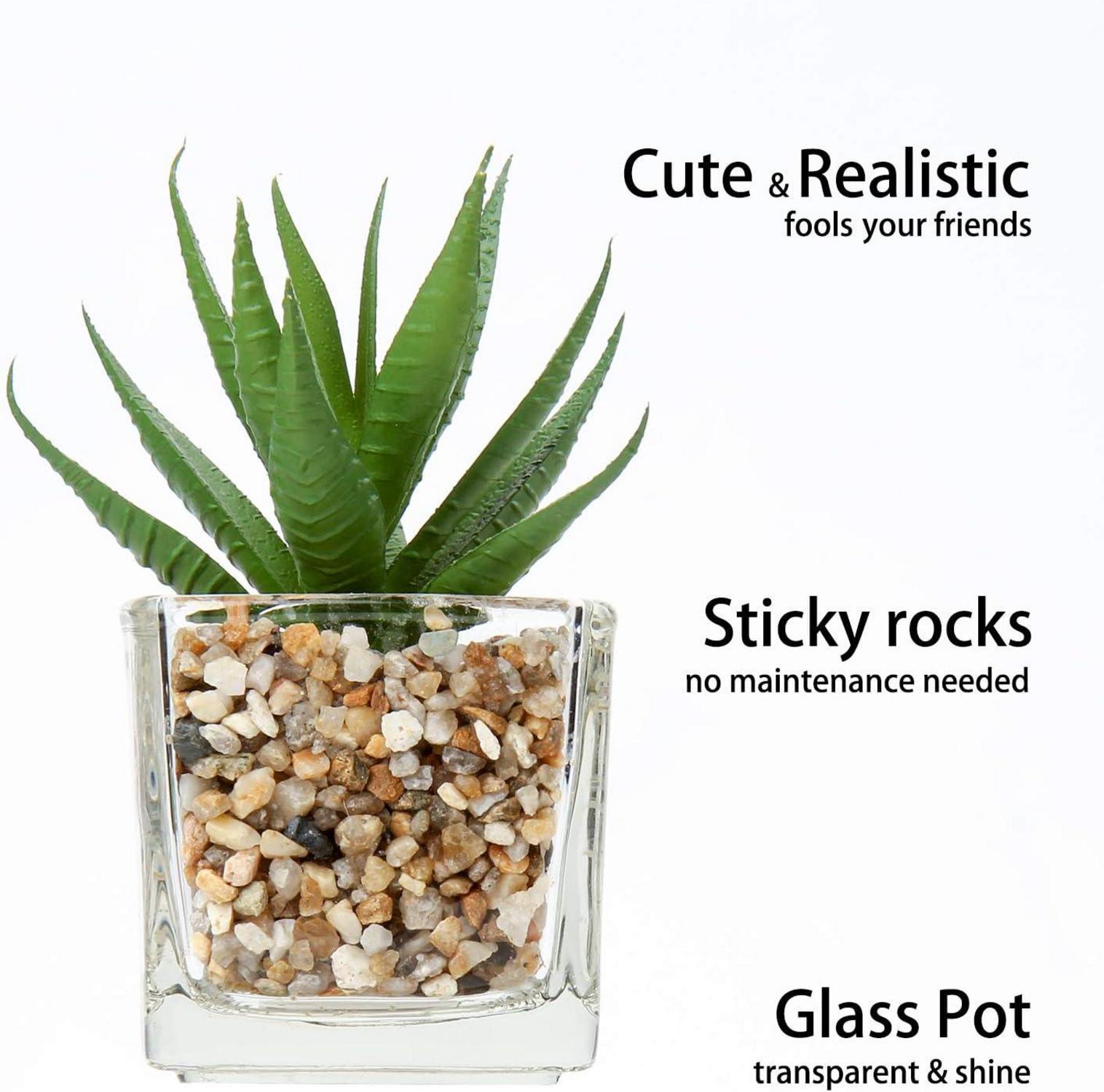 Kunstpflanzen Sukkulenten Set 4er Decorative Wohnzimmer Badzimmer 10.5cm im Glastopf