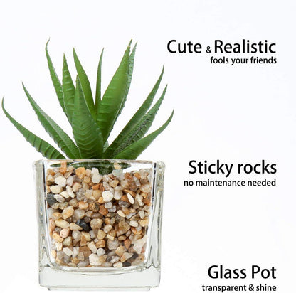 Kunstpflanzen Sukkulenten Set 4er Decorative Wohnzimmer Badzimmer 10.5cm im Glastopf