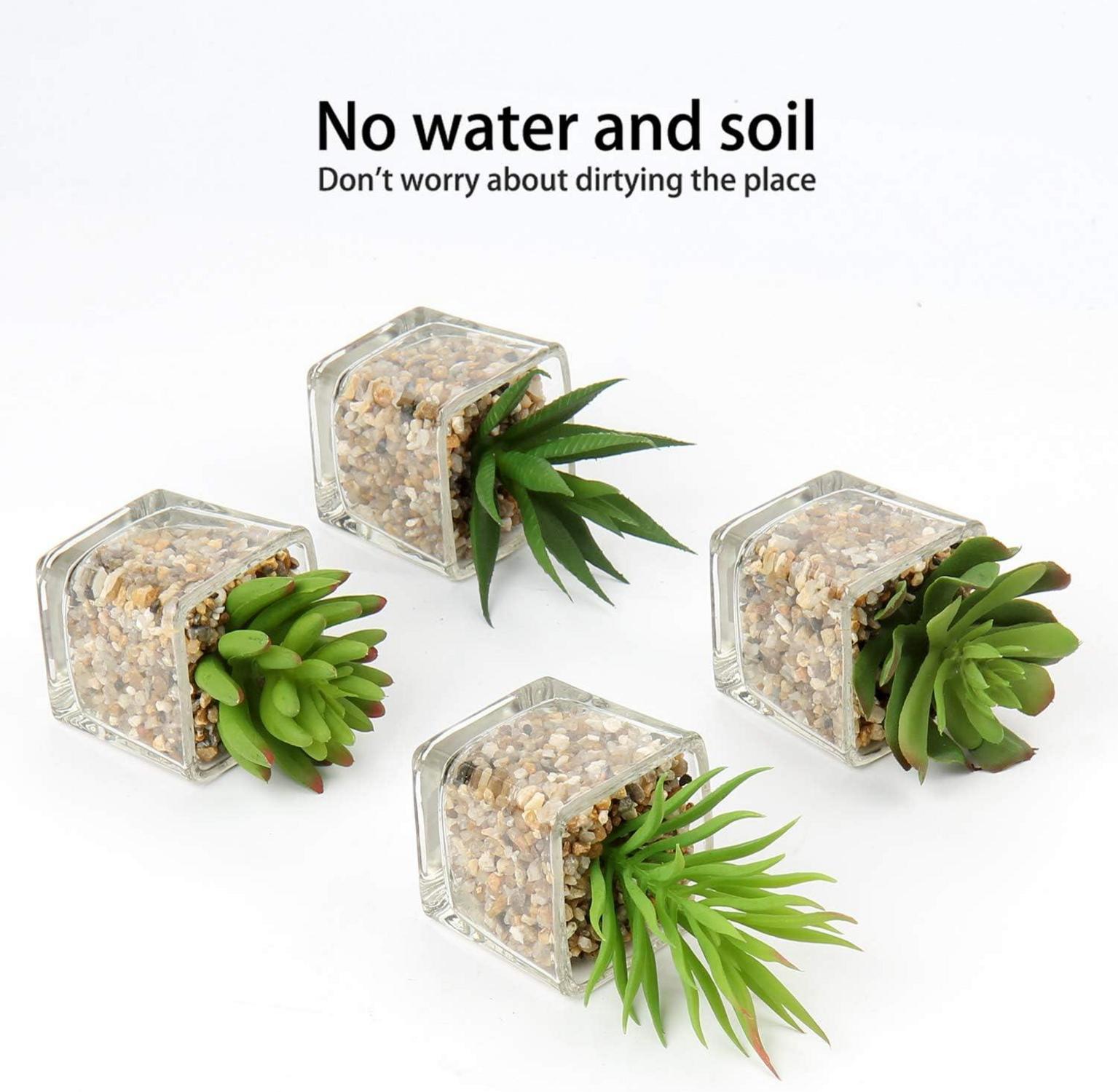 Künstliche Sukkulenten Deko Pflanzen 10,5cm 4er Set in Glastopf