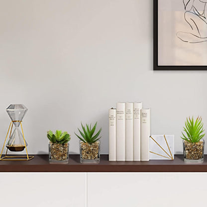 Kunstpflanze Sukkulente 4er Set Dekopflanze im Glastopf 10,5cm