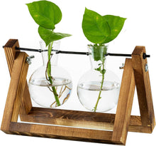 Vermehrungsstation Zwiebel Vase Holzständer Glas Blumentopf Vintage