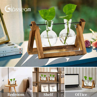 Pflanzen Vermehrungsstation Zwiebel Vase Holzständer Vintage Home Office Zubehör