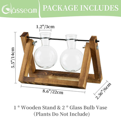 Vermehrungsstation Pflanzen Upgrade Zwiebel Vase Holzständer Glas