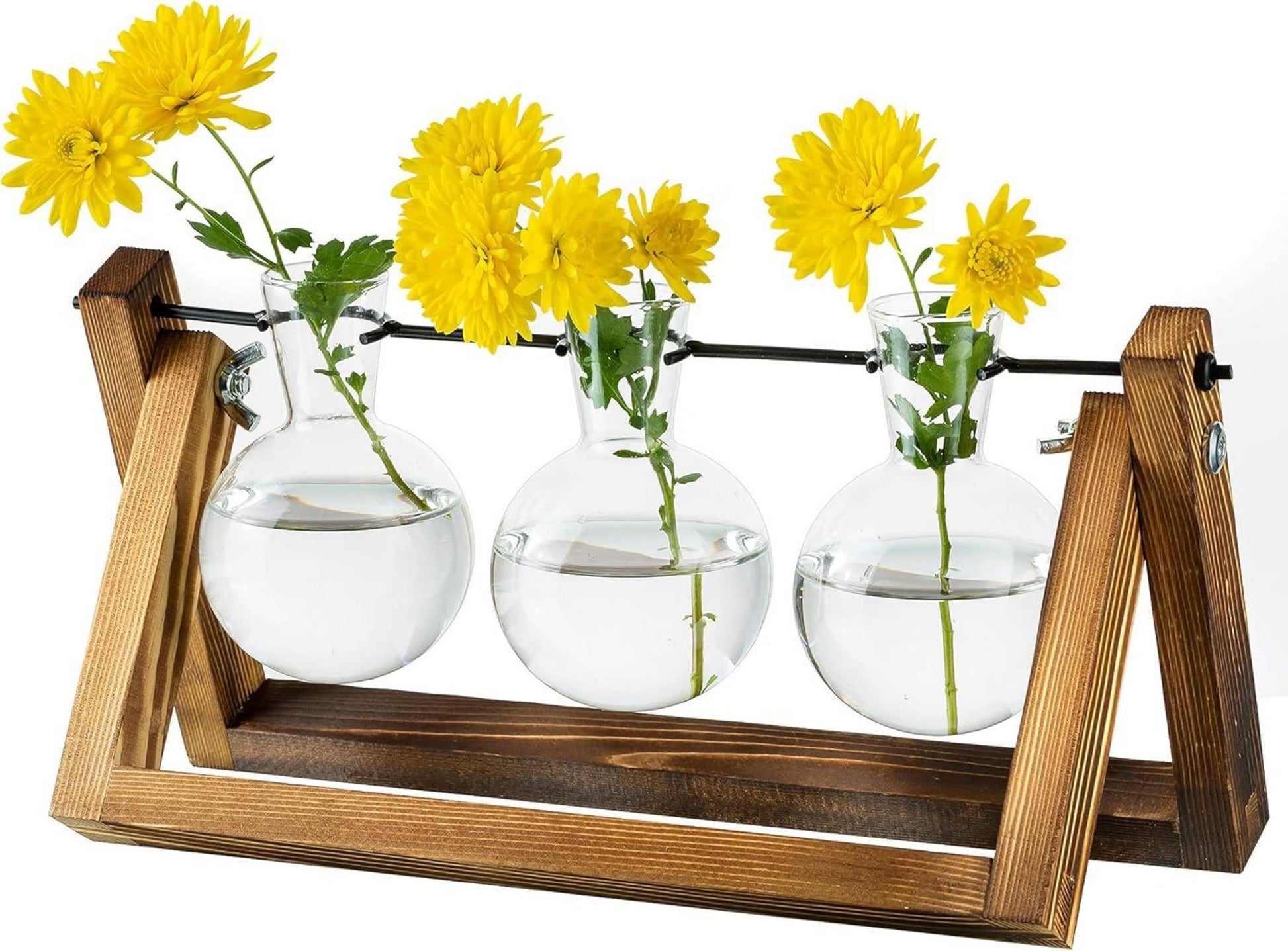 Vermehrungsstation Upgrade Zwiebel Vase Pflanzer Holzständer Glas