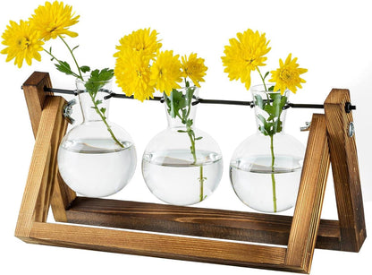 Vermehrungsstation Upgrade Zwiebel Vase Pflanzer Holzständer Glas
