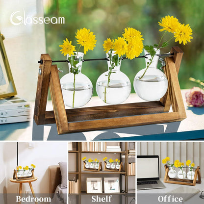 Vermehrungsstation Pflanzen Upgrade Zwiebel Vase Holzständer Glas Blumentopf Vintage Büro Deko 3 Zwiebeln 3 Glühbirnen