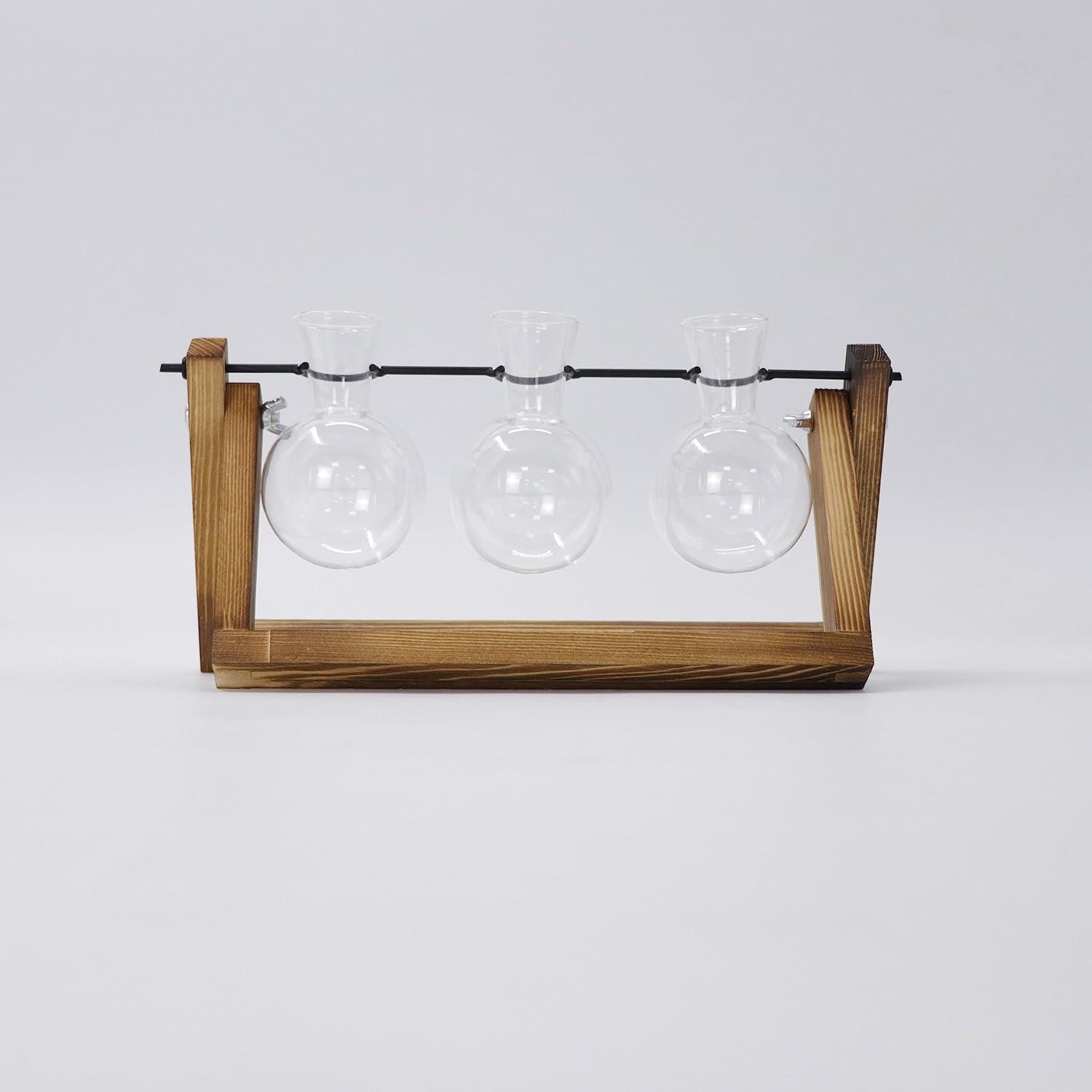 Vermehrungsstation Pflanzen Upgrade Zwiebel Vase Holzständer Glas Blumentopf Vintage Büro Deko 3 Zwiebeln 3 Glühbirnen