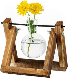 Pflanzen Vermehrungsstation Upgrade Zwiebel Vase Holzständer Glas