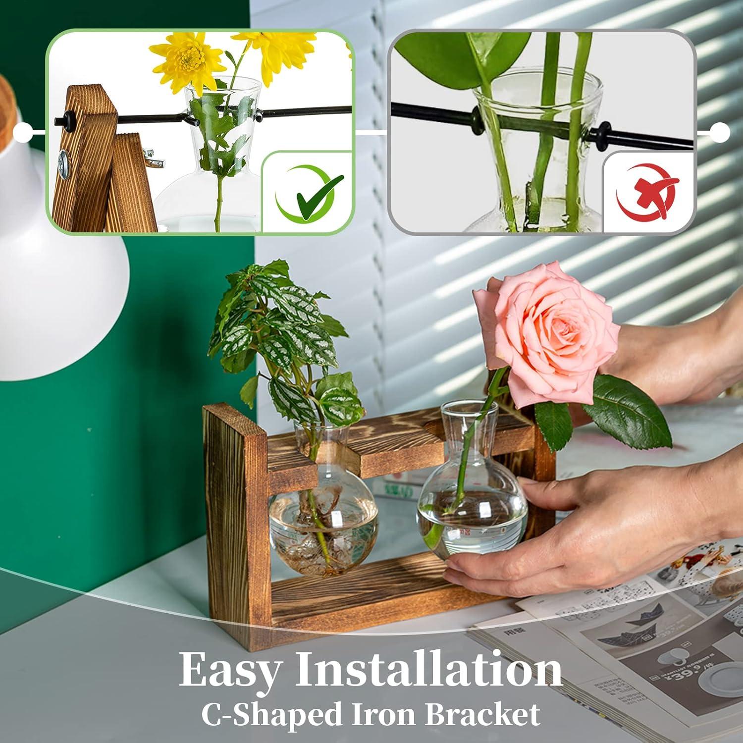 Vermehrungsstation Pflanzen Upgrade Zwiebel Vase Holzständer Vintage