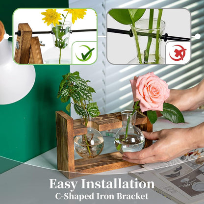 Vermehrungsstation Pflanzen Upgrade Zwiebel Vase Holzständer Vintage