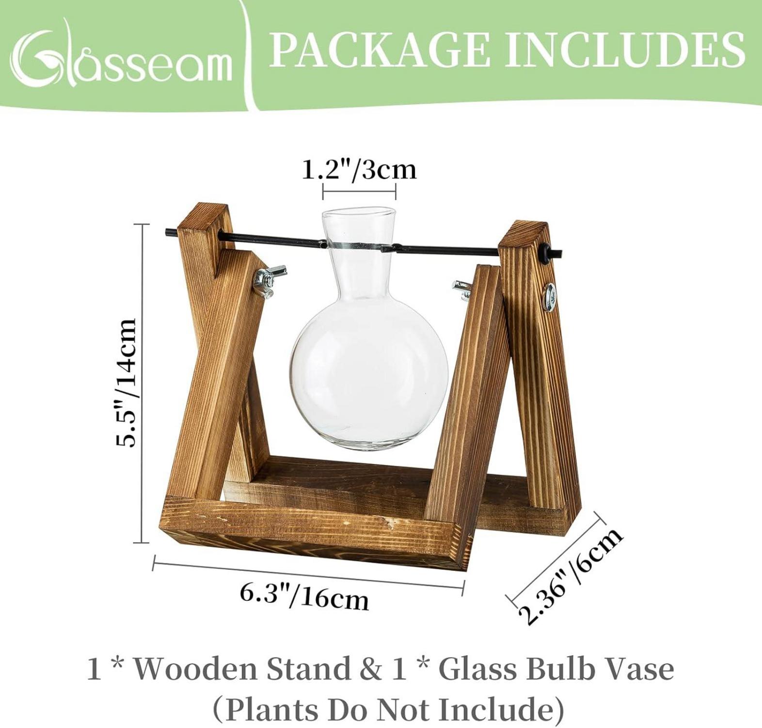 Vermehrungsstation Pflanzen Upgrade Zwiebel Vase Holzständer Glas
