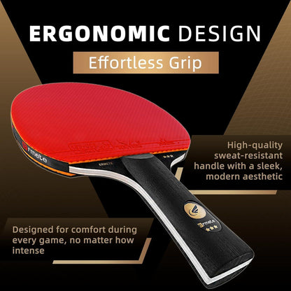 Tischtennis Set 2 Profi Schläger 3 Bälle Tragetasche