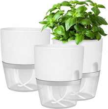 Selbstbewässernder Kräutertopf Set für die Küche - 3er Pack