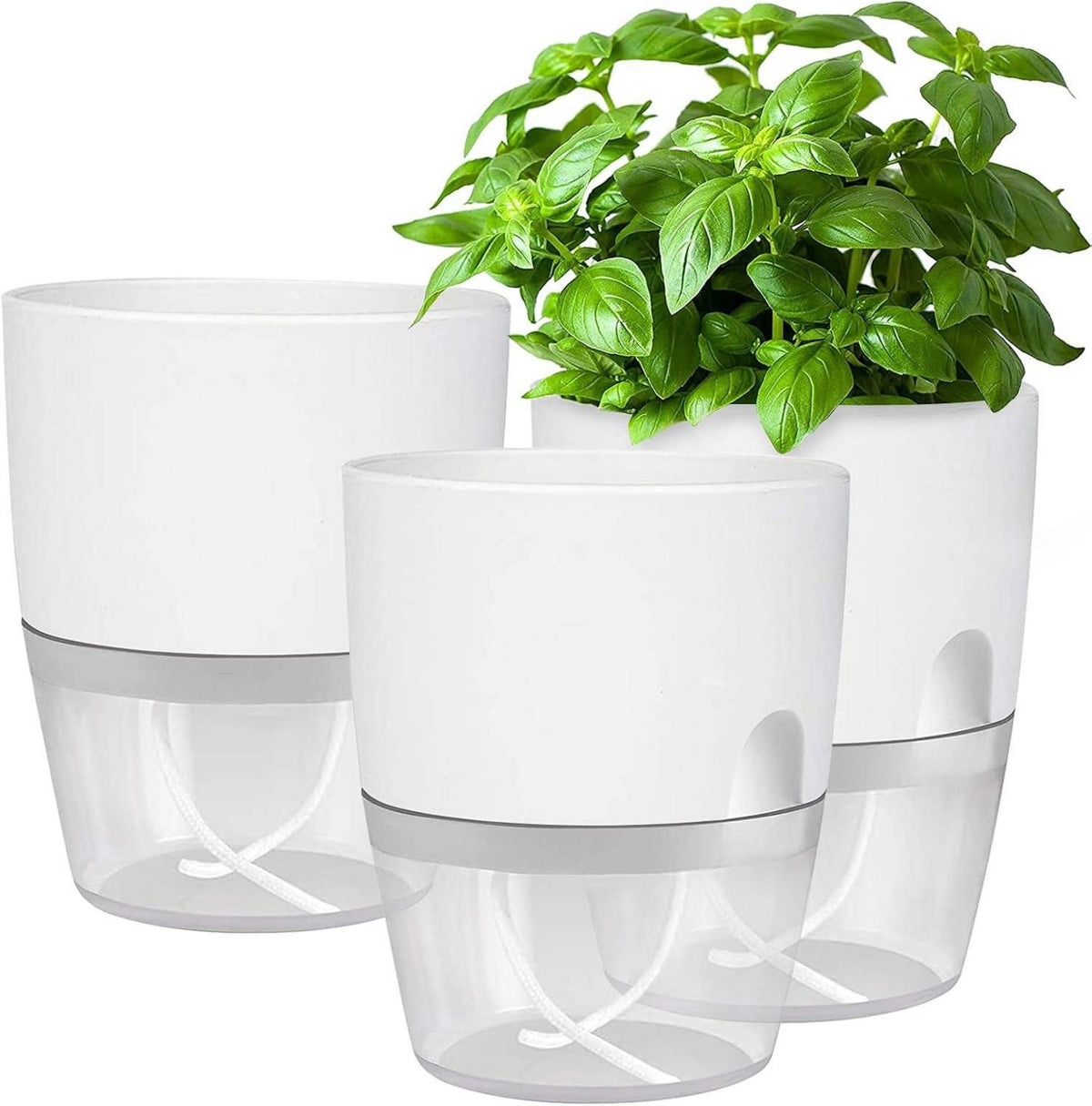 Selbstbewässernder Kräutertopf Set für die Küche - 3er Pack
