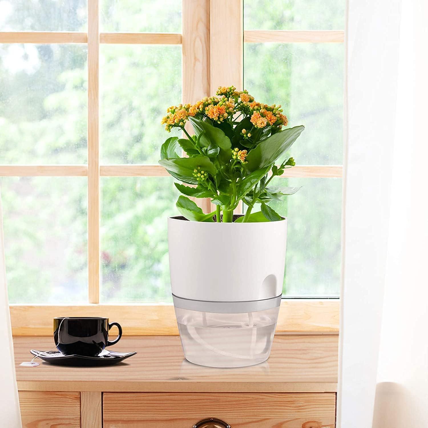 3er Set Selbstbewässernder Kräutertopf für Küche Fensterbank 18.2x11x15.3 cm