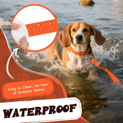Wasserdichte Schleppleine für Hunde aus Biothane, 10m Neon Orange
