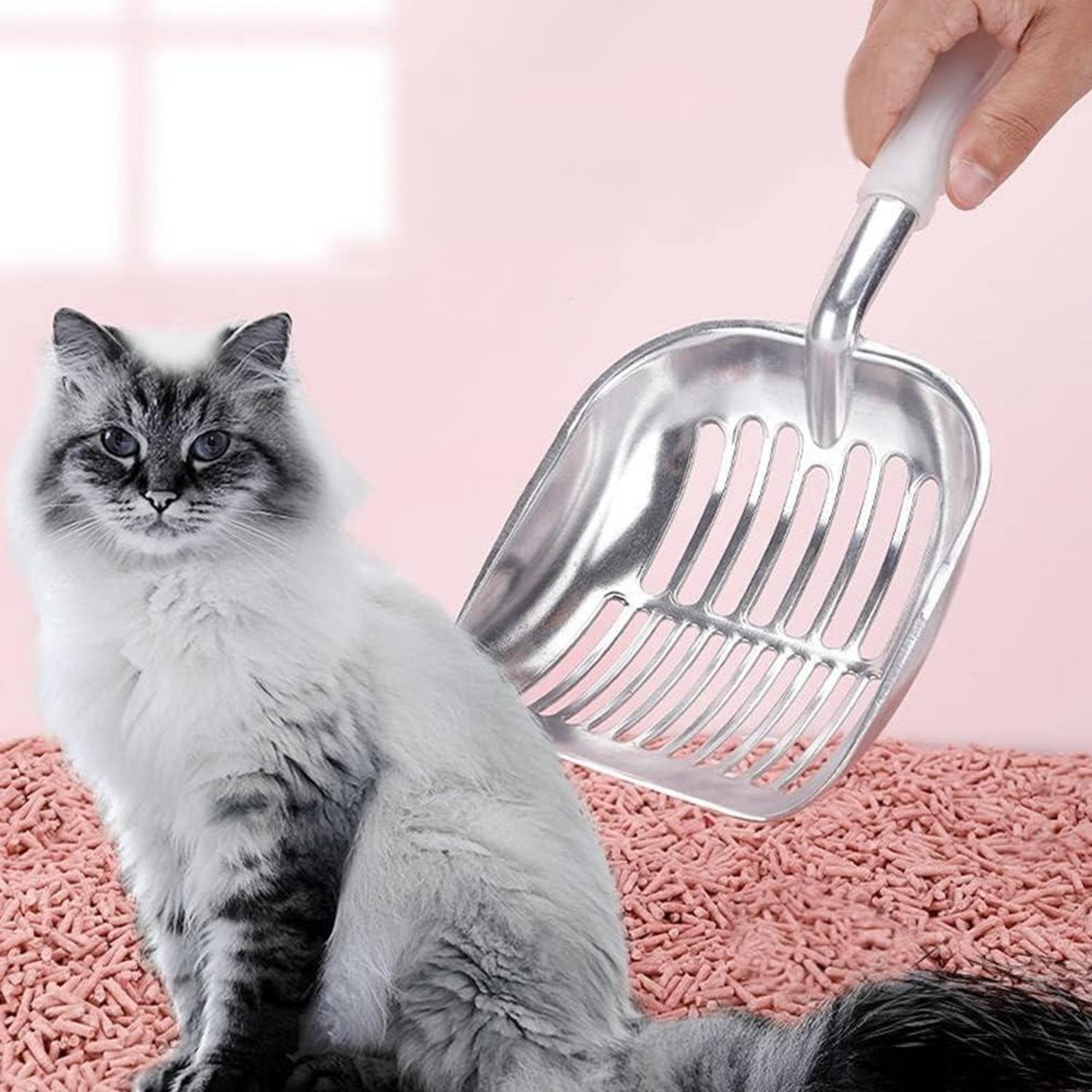 Katzenklo Schaufel Metall Langer Griff tiefer Schaufelschlitz