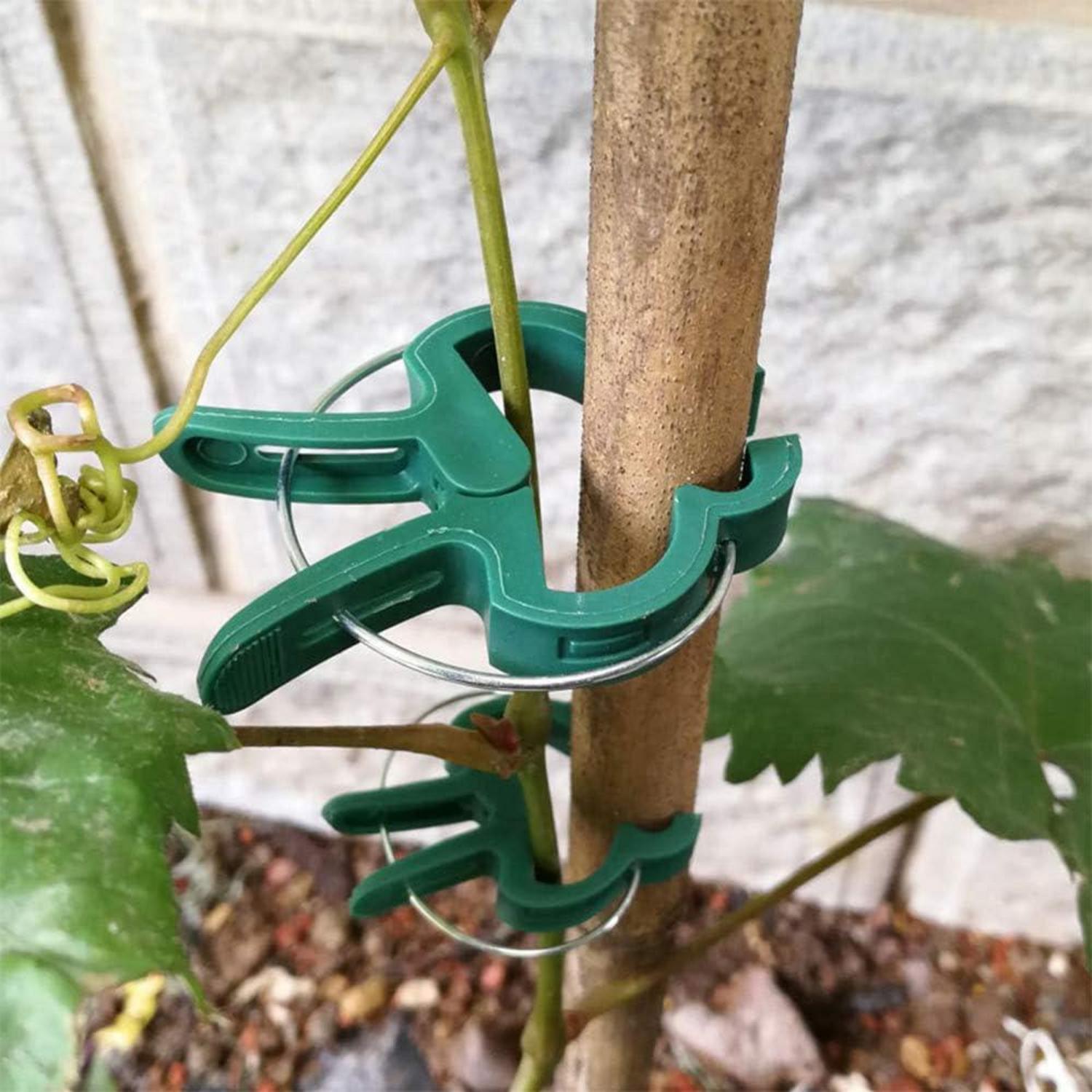 110x Pflanzenclips Set 2 Größen Rankhilfe Tomaten Gurken Kletterpflanzen