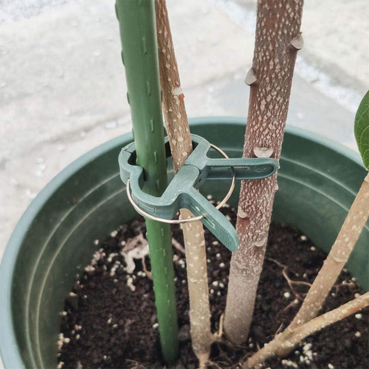 110 Pflanzenclips Tomaten Rosen Gurken wiederverwendbar